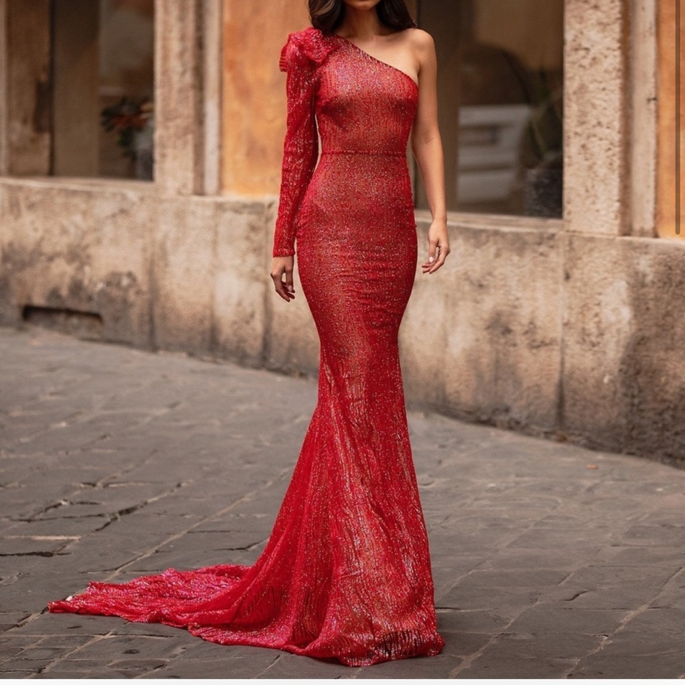 Brand New Alamour Tatiana Sheer Dress ( Size L)